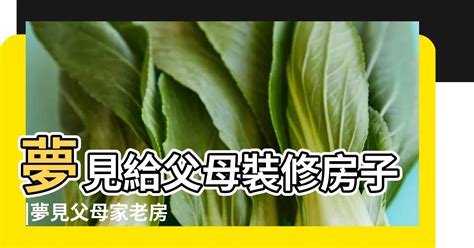 夢見房子裝修|【夢見房子裝修】夢見房子裝修，是好運還是厄運？揭開夢境密。